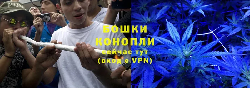 это клад  Тихорецк  Каннабис VHQ 